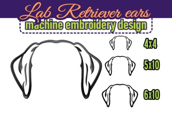 Download Labrador Retriever Dog Ears - Retriever Collection