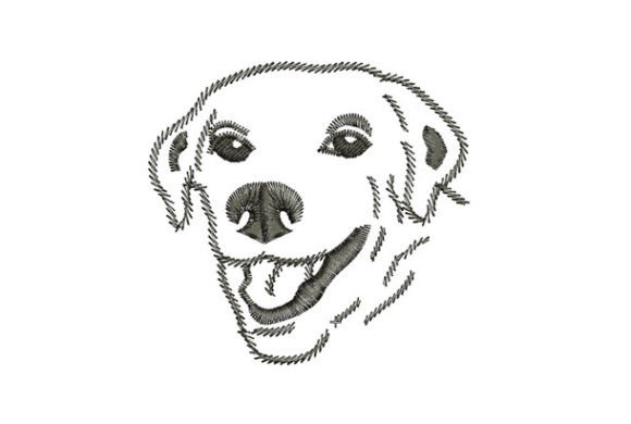 Download Golden Retriever - Retriever Collection