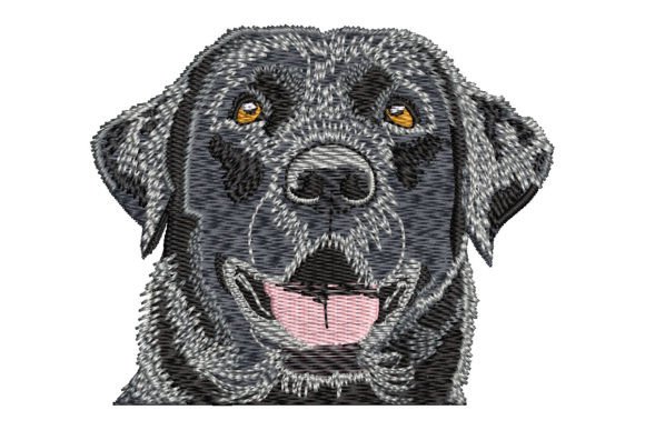 Download Black Labrador Retriever - Retriever Collection