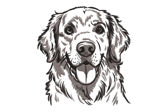 Download Golden Retriever - Retriever Collection