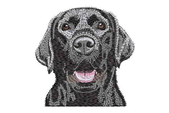 Download Labrador Retriever Black Lab - Retriever Collection
