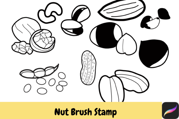 Download Nut Grain Procreate Brush Stamps IPAD - Procreate brush Collection