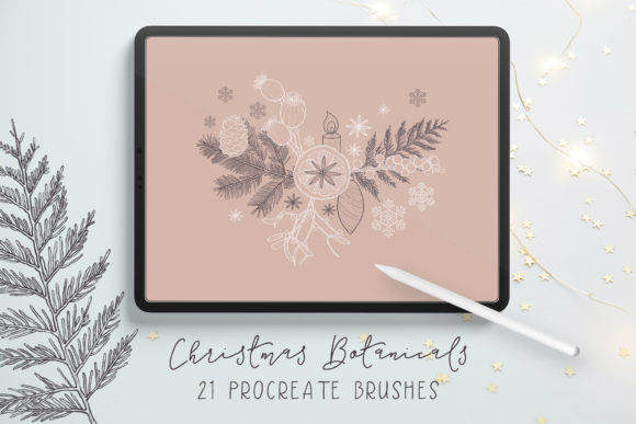 Download Christmas Botanicals Procreate Brushes - Procreate brush Collection